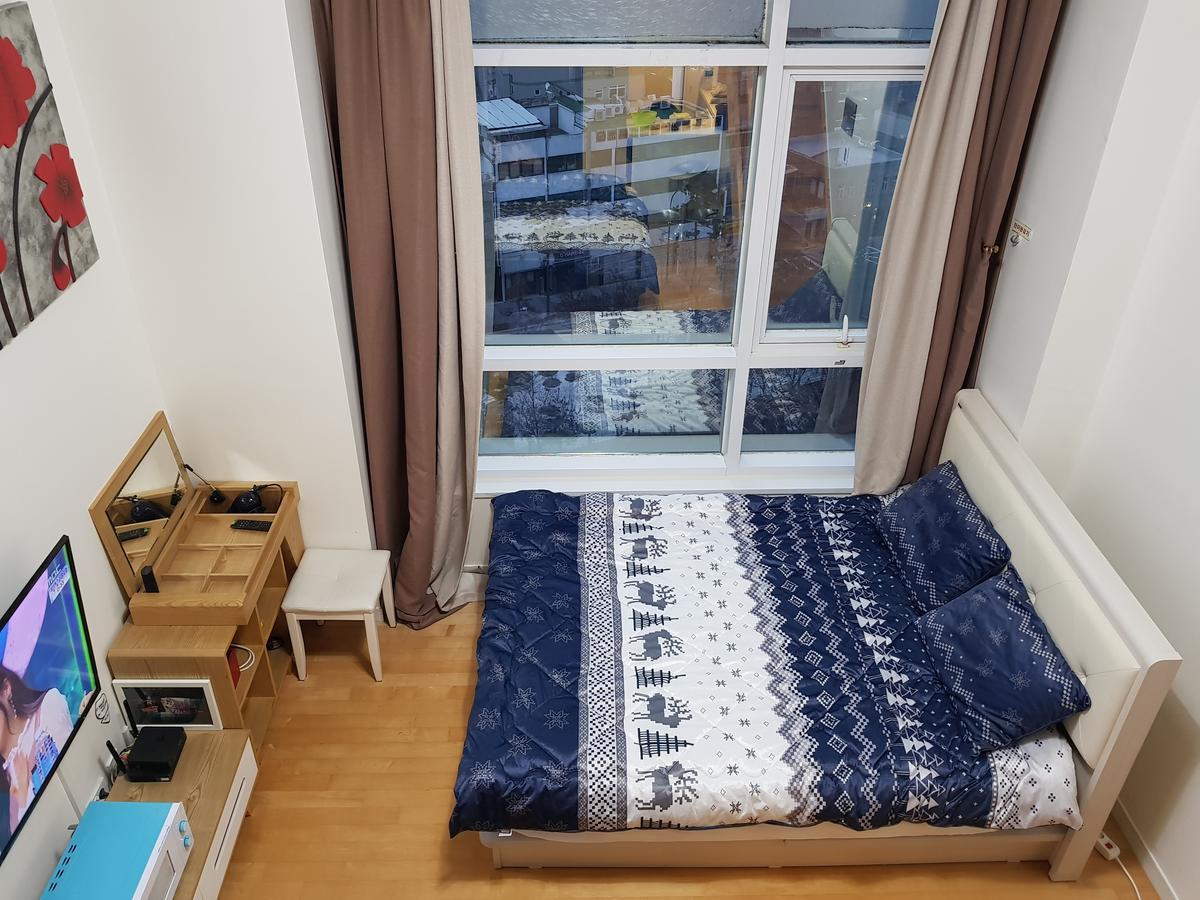 Station Duplex Apartment Seoul